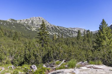 Bulgaristan 'ın Balık Gölleri çevresindeki Rila Dağı Panoraması