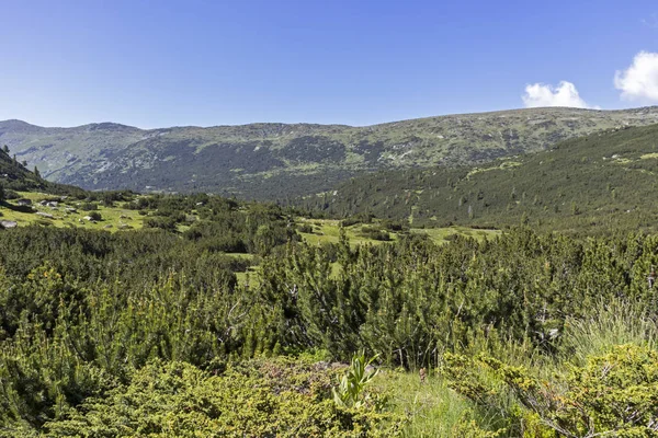 Bulgaristan 'ın Balık Gölleri çevresindeki Rila Dağı Panoraması — Stok fotoğraf