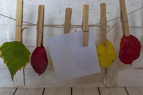 Autumn leaves and a piece of paper caught with a pinch — Stock Photo, Image
