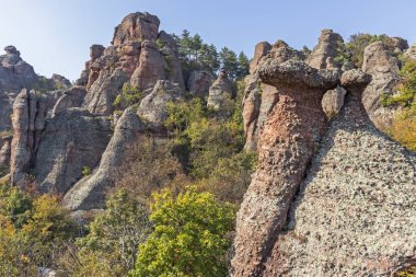 Kaya oluşumunun sonbahar manzarası Belogradchik Kayaları, Vidin Bölgesi, Bulgaristan