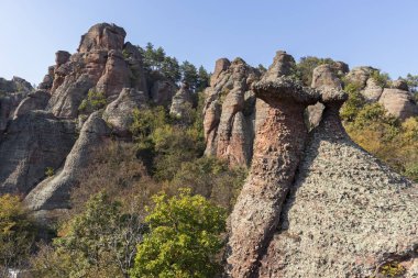 Kaya oluşumunun sonbahar manzarası Belogradchik Kayaları, Vidin Bölgesi, Bulgaristan
