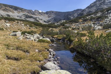Dağ nehri, Pirin Dağı, Bulgaristan manzarası
