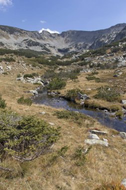 Dağ nehri, Pirin Dağı, Bulgaristan manzarası
