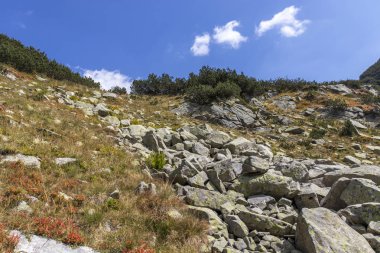 Bulgaristan 'ın Banderitsa Gölü yakınlarındaki Pirin Dağı manzarası