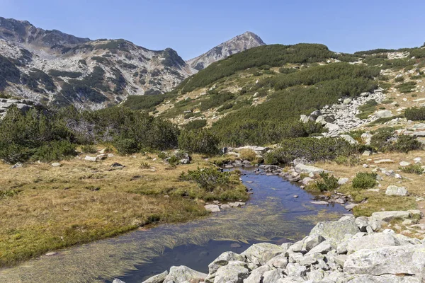Landschaft mit Gebirgsfluss, Pirin-Gebirge, Bulgarien — Stockfoto