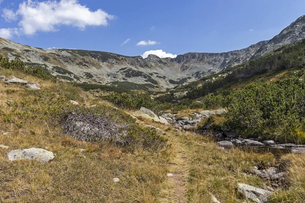 Landscape with mountain river, Pirin Mountain, Bulgaria — Stock Photo, Image