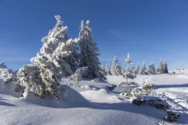 Vitosha Dağı Kış manzarası, Bulgaristan