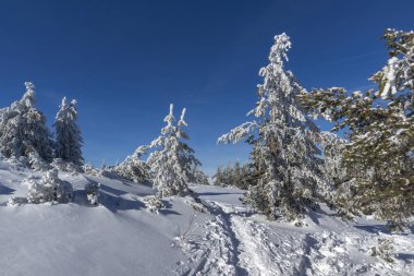 Vitosha Dağı Kış manzarası, Bulgaristan
