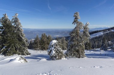 Vitosha Dağı Kış manzarası, Bulgaristan