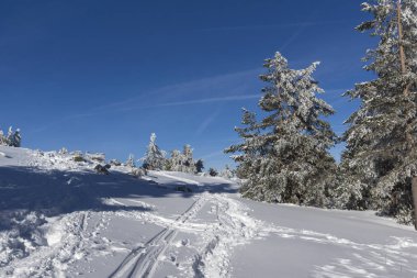 Vitosha Dağı Kış manzarası, Bulgaristan