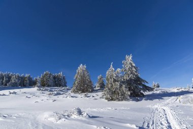 Vitosha Dağı Kış manzarası, Bulgaristan