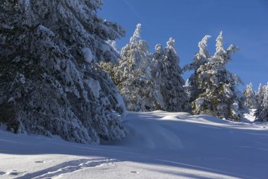 Vitosha Dağı Kış manzarası, Bulgaristan