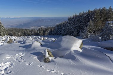 Vitosha Dağı Kış manzarası, Bulgaristan