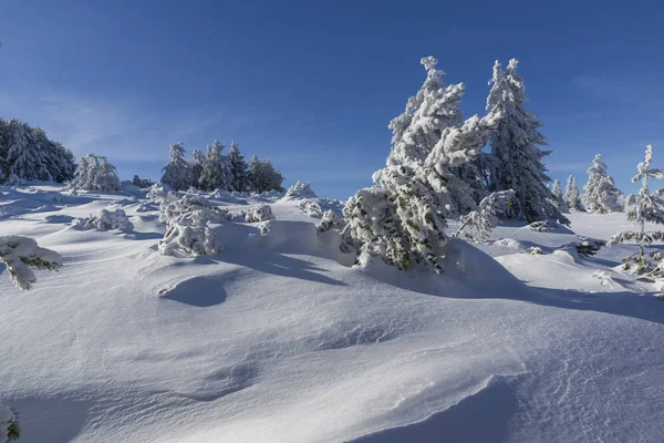 Зимний пейзаж горы Витоша, Болгария — стоковое фото