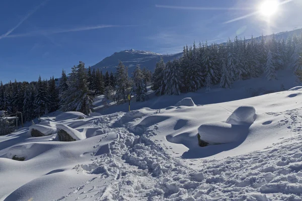 Winterlandschaft des Vitosha-Gebirges, Bulgarien — Stockfoto