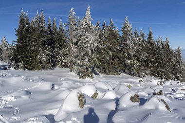Vitosha Dağı Kış manzarası, Bulgaristan