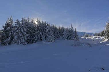 Vitosha Dağı Kış manzarası, Bulgaristan