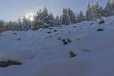 Vitosha Dağı Kış manzarası, Bulgaristan