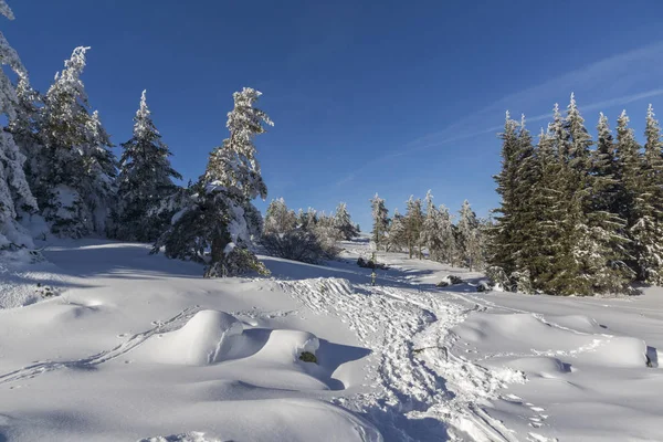 Zimní krajina v pohoří Vitoša, Bulharsko — Stock fotografie