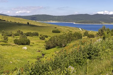 Belmeken Barajı 'nın yaz manzarası, Rila dağı, Bulgaristan