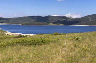 Belmeken Barajı 'nın yaz manzarası, Rila dağı, Bulgaristan