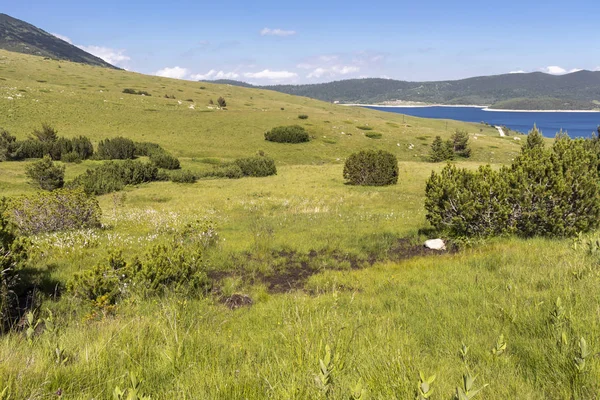 Letní pohled na Belmeken Reservoir, Rilu, Bulharsko — Stock fotografie