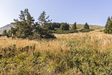 Bulgaristan 'ın Vitosha Dağı Sonbahar Panoraması