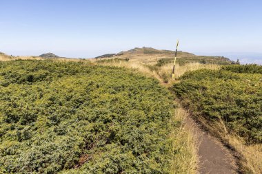 Bulgaristan 'ın Vitosha Dağı Sonbahar Panoraması