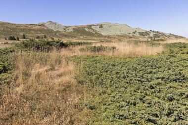 Bulgaristan 'ın Vitosha Dağı Sonbahar Panoraması