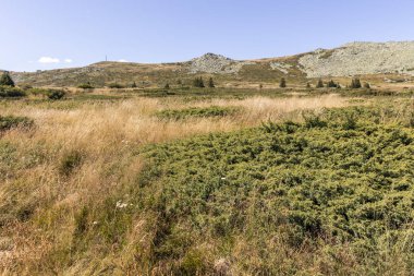 Bulgaristan 'ın Vitosha Dağı Sonbahar Panoraması