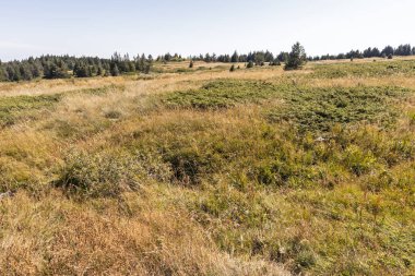 Bulgaristan 'ın Vitosha Dağı Sonbahar Panoraması
