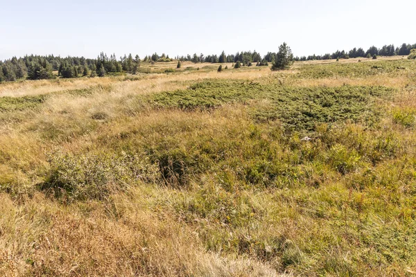 Panorama jesienna Góry Witosza, Bułgaria — Zdjęcie stockowe