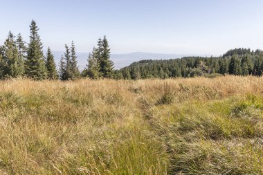 Bulgaristan 'ın Vitosha Dağı Sonbahar Panoraması