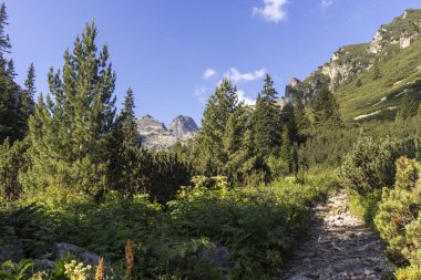 Bulgaristan 'ın Rila Dağı' nda Malyovitsa zirvesi