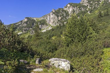 Bulgaristan 'ın Rila Dağı' ndaki Malyoviska Nehri Vadisi
