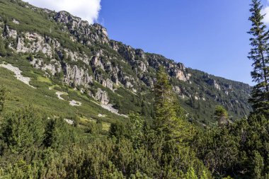 Bulgaristan 'ın Rila Dağı' ndaki Malyoviska Nehri Vadisi