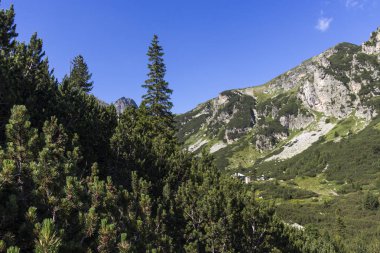 Bulgaristan 'ın Rila Dağı' ndaki Malyoviska Nehri Vadisi