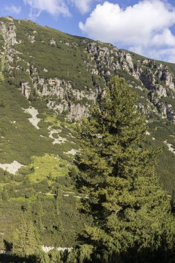 Bulgaristan 'ın Rila Dağı' ndaki Malyoviska Nehri Vadisi