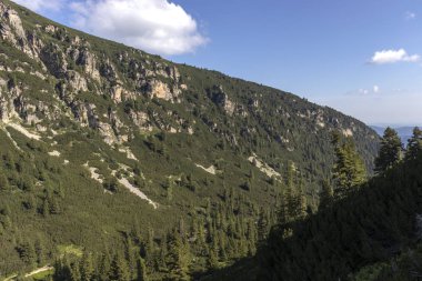 Bulgaristan 'ın Rila Dağı' ndaki Malyoviska Nehri Vadisi