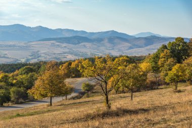 Bulgaristan 'ın Cherna Gora dağının sonbahar manzarası