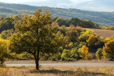 Bulgaristan 'ın Cherna Gora dağının sonbahar manzarası