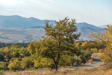 Bulgaristan 'ın Cherna Gora dağının sonbahar manzarası