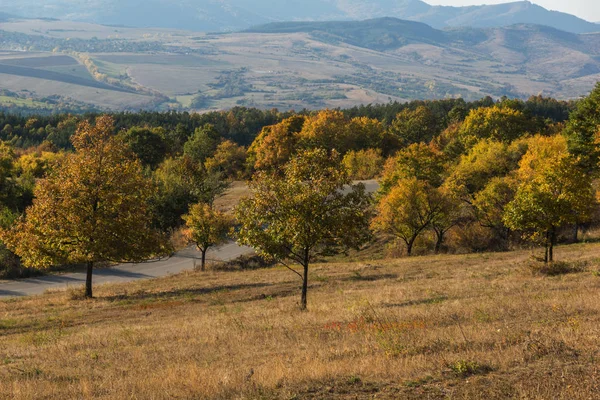 Herfst landschap van Cherna Gora berg, Bulgarije — Stockfoto