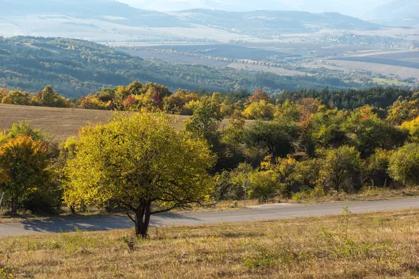 Herbstlandschaft des Berges Tscherna Gora, Bulgarien — Stockfoto