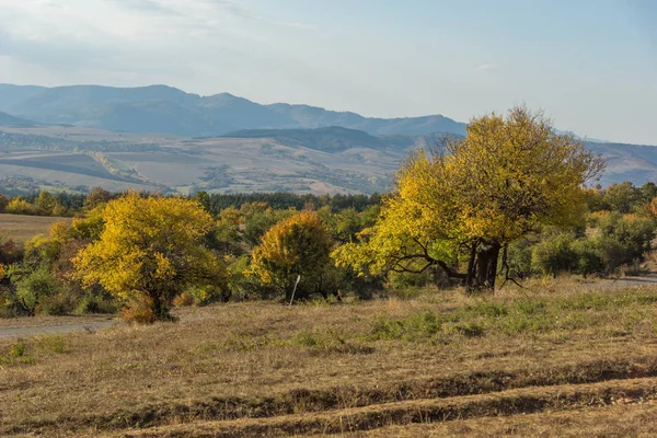 保加利亚Cherna Gora山秋季风景 — 图库照片