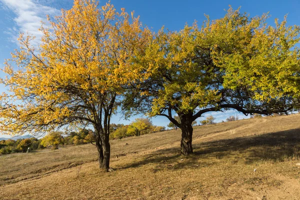 Bulgaristan 'ın Cherna Gora dağının sonbahar manzarası