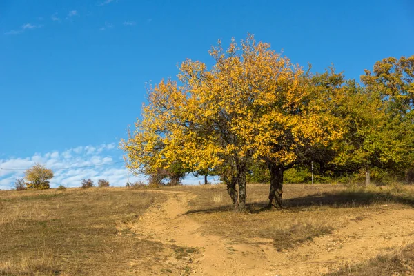 Bulgaristan 'ın Cherna Gora dağının sonbahar manzarası