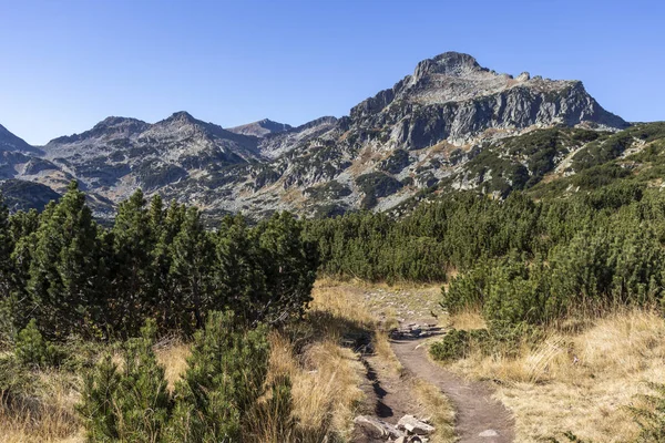 Autumn Landscape Popovo Lake Pirin Mountain Bulgaria — Stok Foto