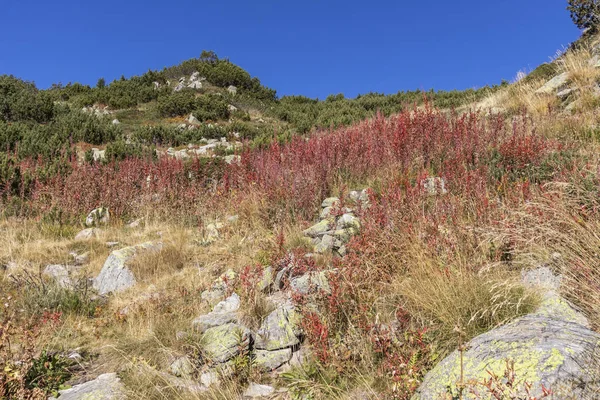 Herbstlandschaft Rund Popovo See Pirin Gebirge Bulgarien — Stockfoto