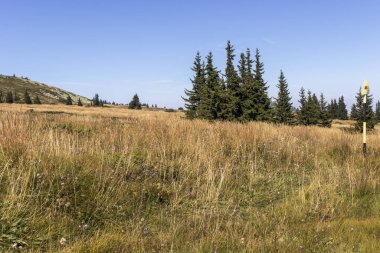 Bulgaristan 'ın Vitosha Dağı' nın sonbahar manzarası